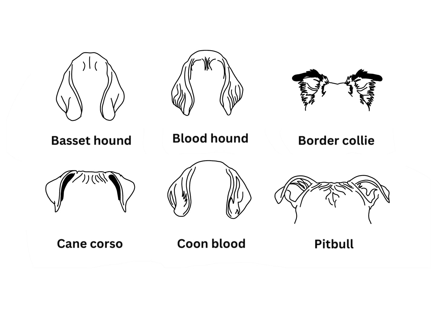 Custom Dog Ears Sweatshirt, Hoodie or T-Shirt