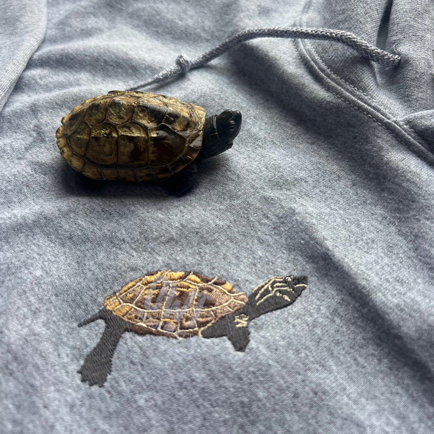 Reeves Turtle Sweatshirt, Hoodie or T-Shirt